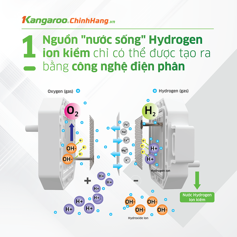 Sự khác biệt giữa máy lọc nước hydrogen ion kiềm với máy lọc nước thông thường