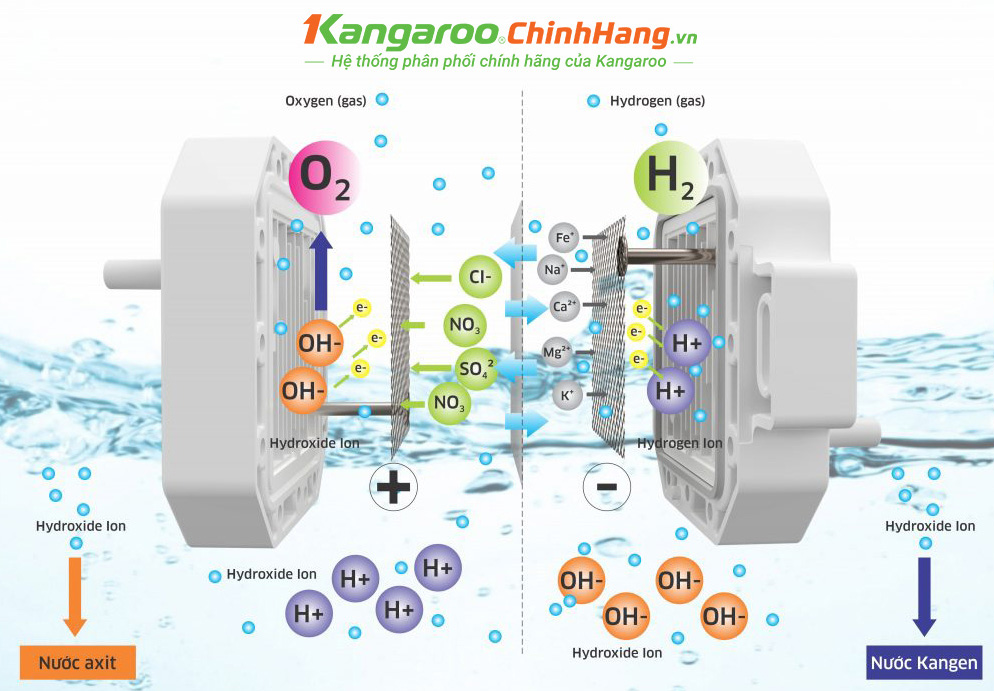  Máy lọc nước Kangaroo Hydrogen ion Kiềm 