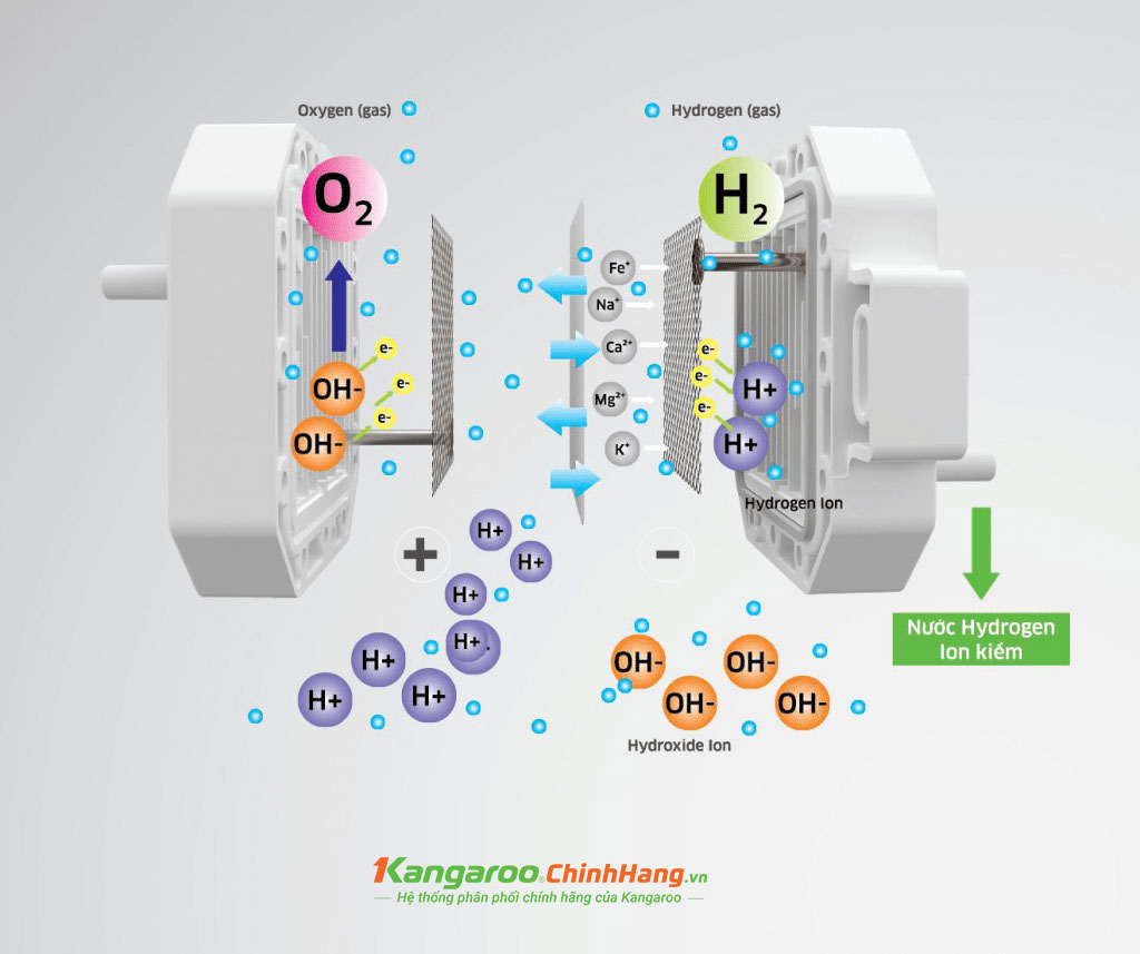 Máy lọc nước Kangaroo Hydrogen ion kiềm KG100EED LUX Series